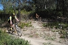 VTT 2012_385