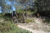VTT 2012_386