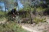 VTT 2012_390