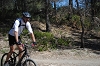 VTT 2012_391