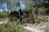 VTT 2012_397