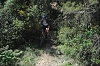 VTT 2012_427