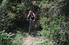 VTT 2012_433