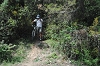 VTT 2012_442