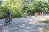 VTT 2012_073