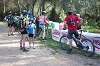 VTT 2013_057