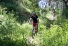 VTT 2015_166